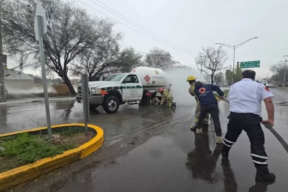 WhatsApp Image 2025 01 11 at 5.17.20 PM