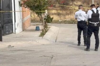 Un feto de entre 5 y 6 meses de gestación fue abandonado cerca de un contenedor de basura en el fraccionamiento Cerro Alto, donde un perro lo encontró y aparentemente mordió parte de sus piernas.