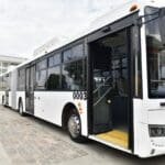 oruga transporte maty