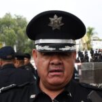 transito lily scaled e1736356194593