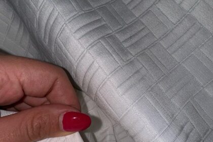 Chinches en los Hoteles 3