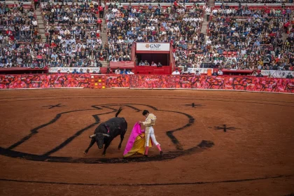 Toros