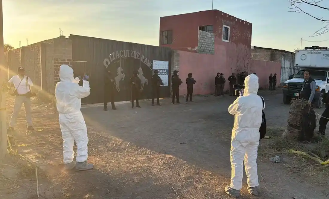 6YAM5EQMZFH6DNARPFV47SDSAM 11zon