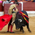 Ordenan a jueza del Tercer Distrito proceder con la reapertura y que se cumpla con la protección animal