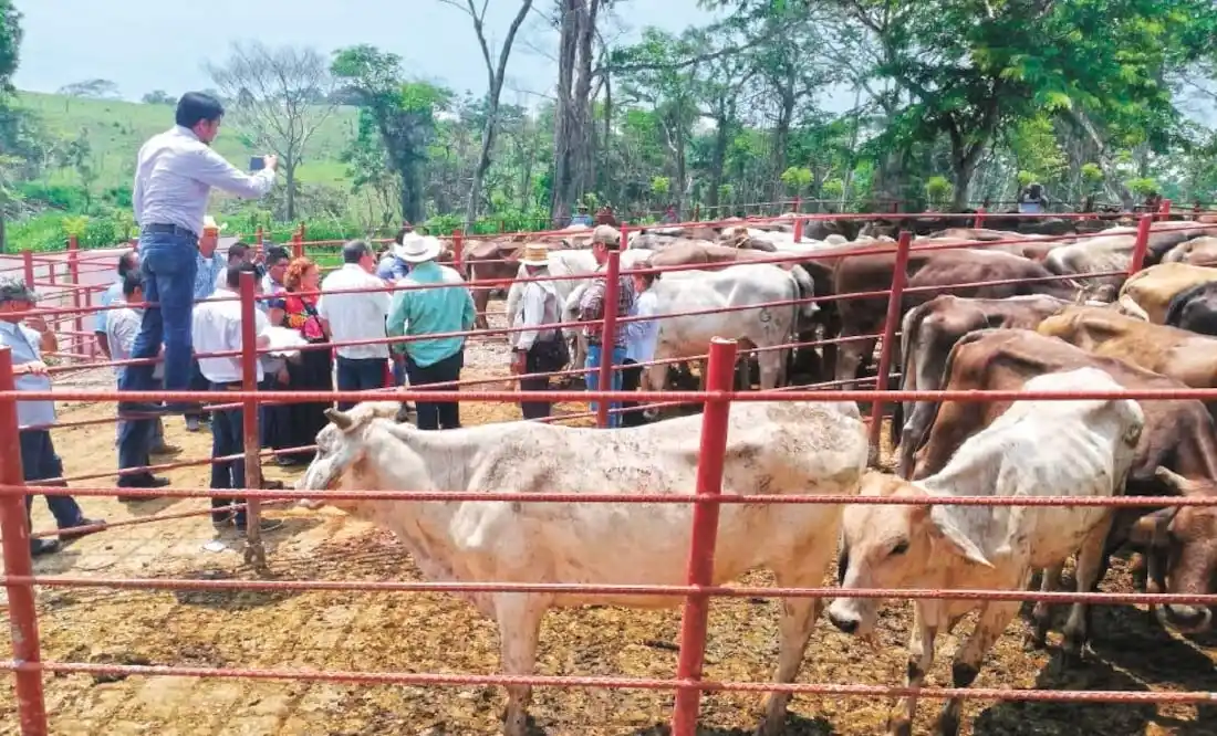 E63IFPAXAVG7DFIUVY2V5VPHSY 11zon