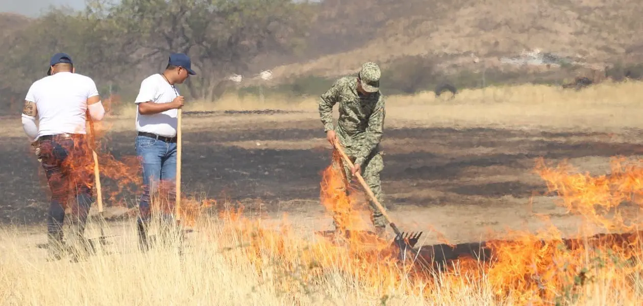Personal especializado adiestró a personas de las dependencias