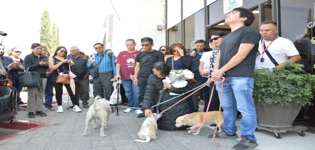 Mascotas de Berenice Rivas tambien sintieron su inesperada partida