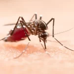 Aguascalientes presenta sus primeros 9 casos de dengue