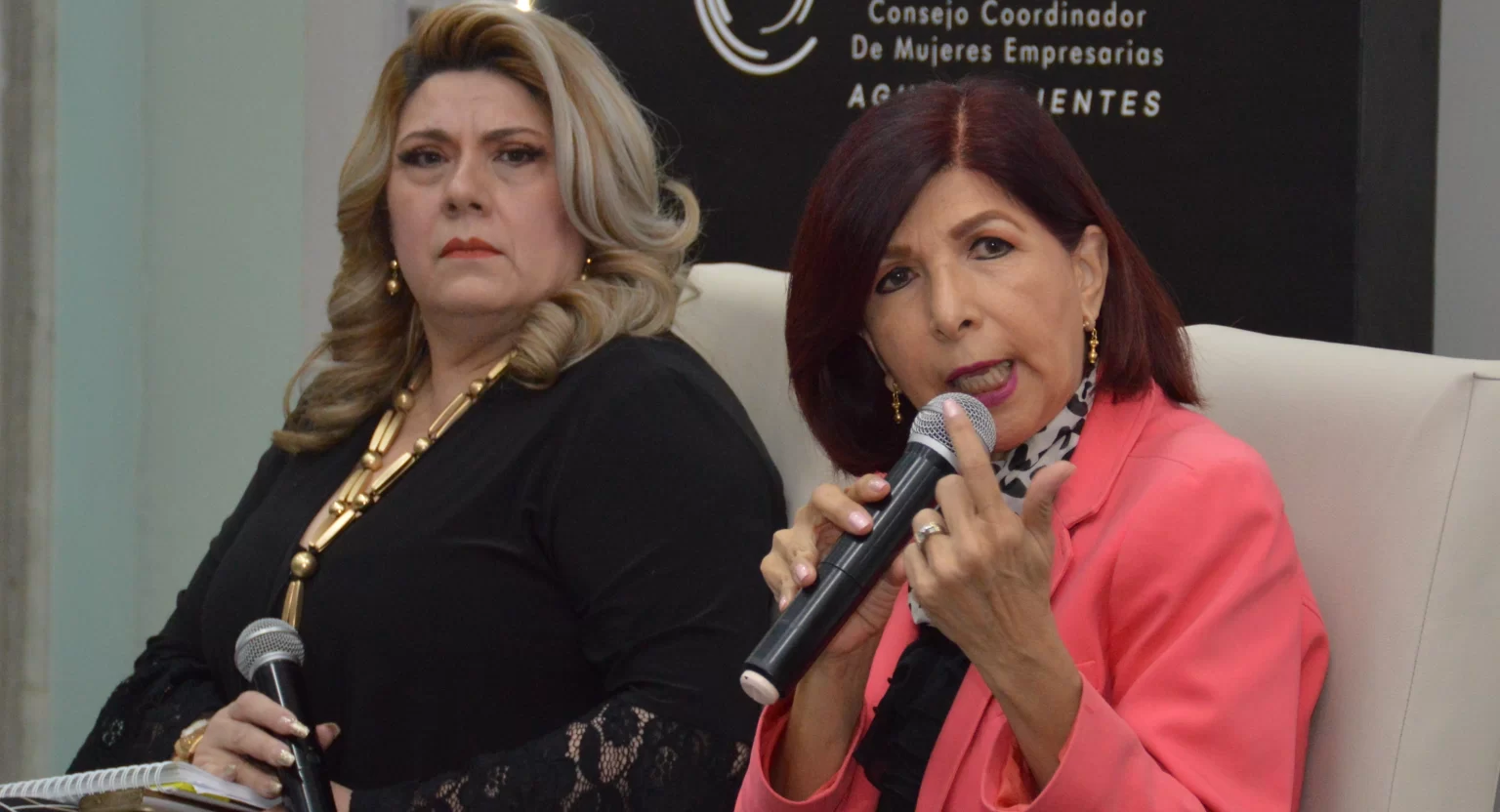 Norma Alicia Ramírez apuntó que la realidad es que la sensación acerca de la violencia es totalmente contraria a los datos oficialistas