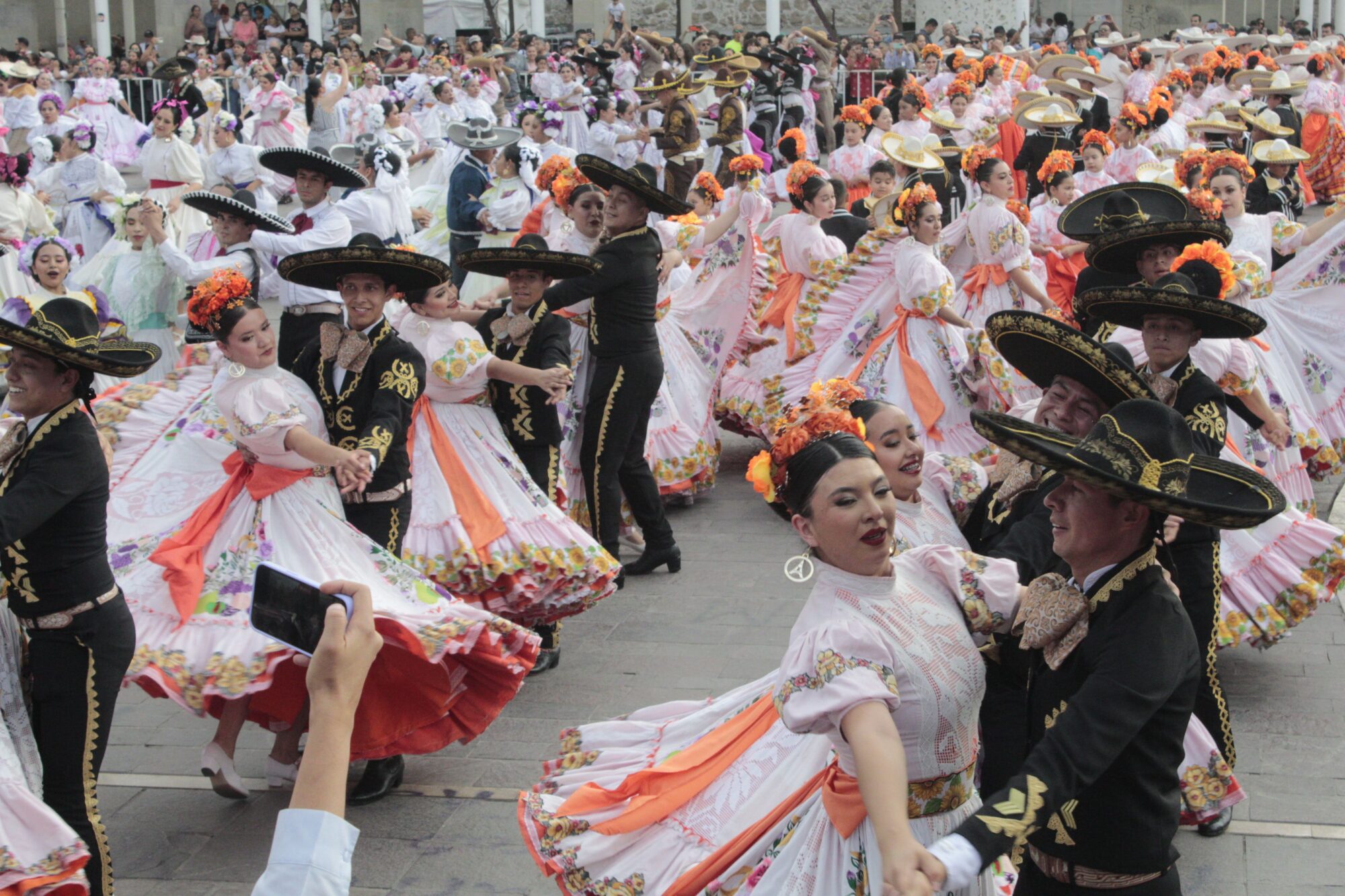 Pelea de gallos HD 1
