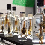 Productores desisten ante la falta de denominación de origen de mezcal en Aguascalientes