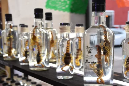 Productores desisten ante la falta de denominación de origen de mezcal en Aguascalientes