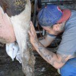 Por sobreproducción les bajan precio de compra.