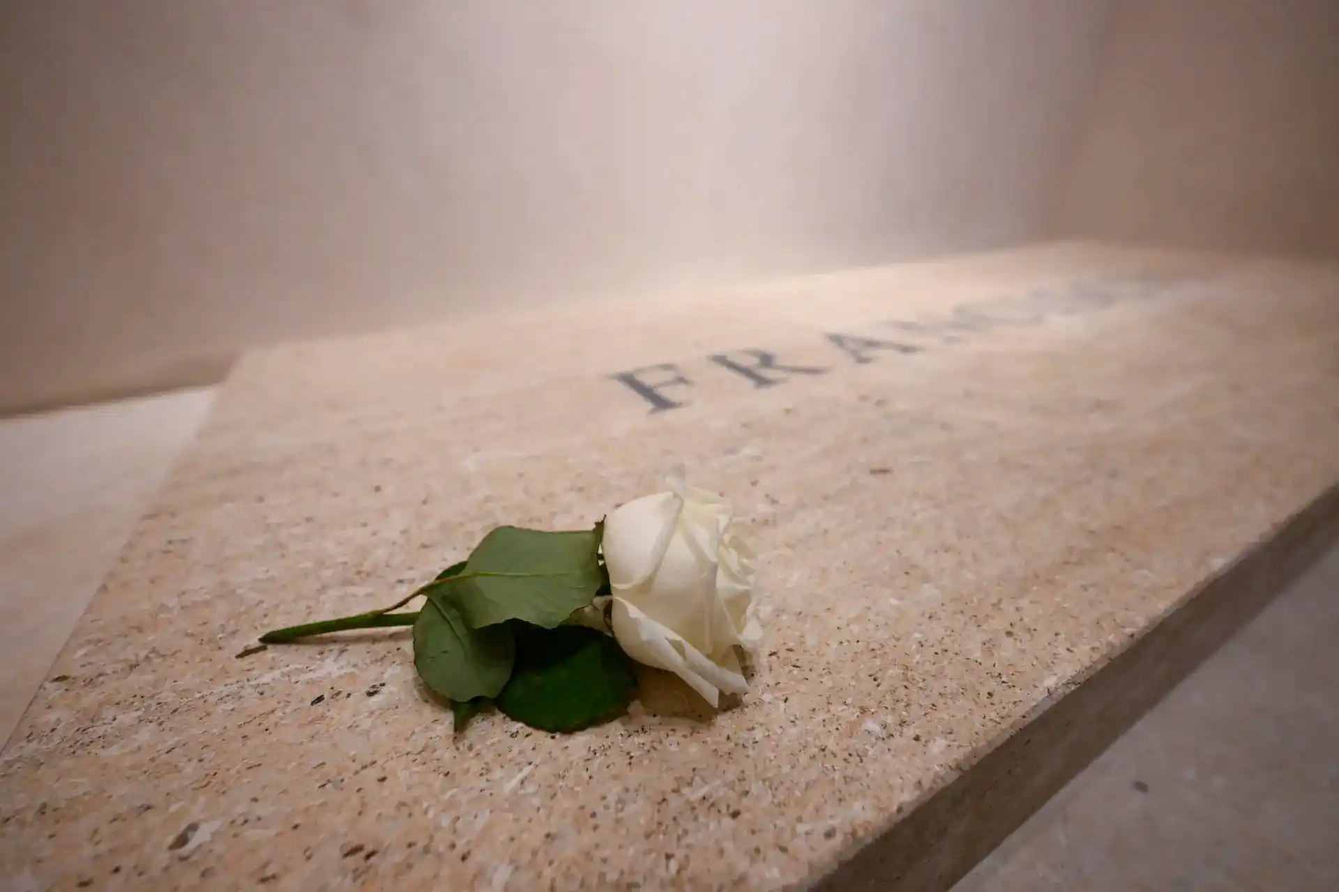 b5eb63371ee94c7089efe035b561c9752522174dw 11zon