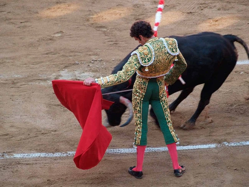 Tauro Ahorros: Asegura tu lugar en las mejores corridas de toros
