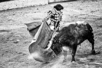 Día Internacional de la Tauromaquia. Foto: Hidrocalidodigital / Unsplash.