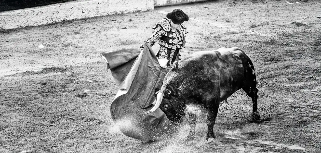 Día Internacional de la Tauromaquia. Foto: Hidrocalidodigital / Unsplash.