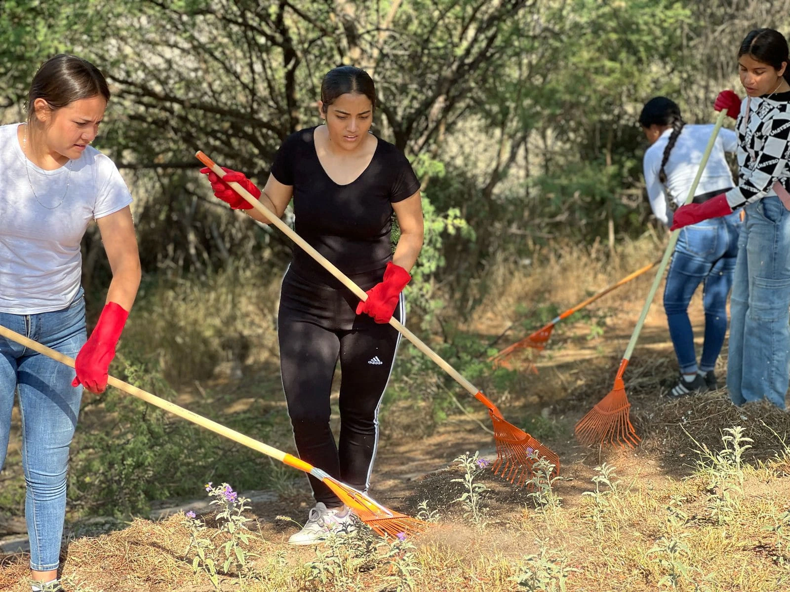 Fueron mas de 600 personas las que limpiaron sus alrededores