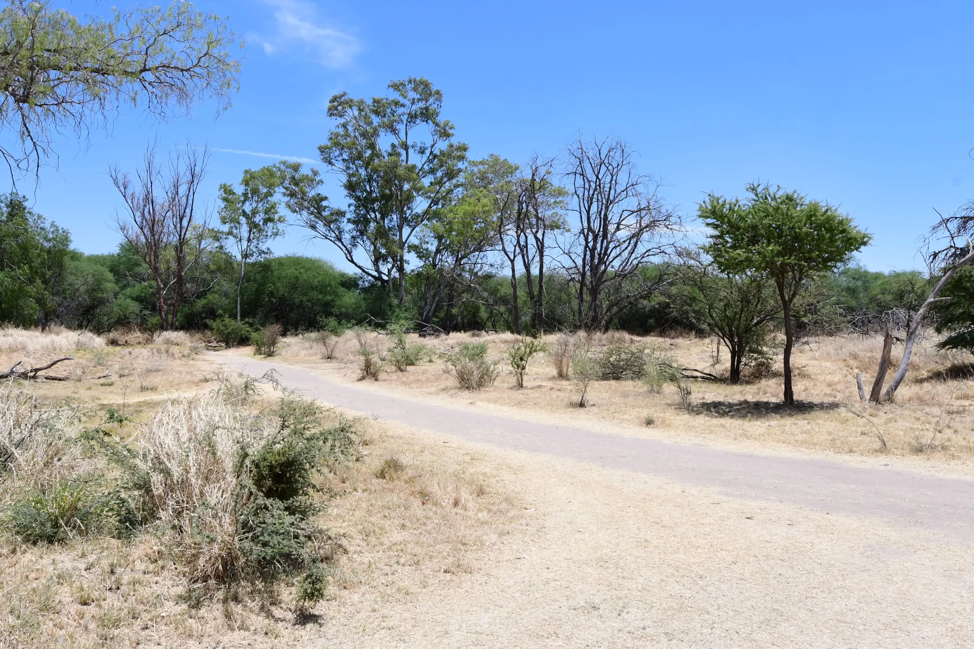 Gobierno aseguro que el predio la pona sera adquirido por el estado