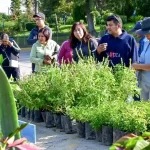 El martes 20 de mayo inicia la donación de árboles y plantas. Posteriormente, las donaciones se realizarán los jueves
