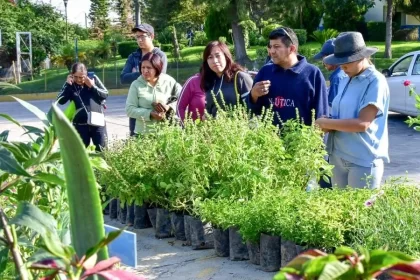 El martes 20 de mayo inicia la donación de árboles y plantas. Posteriormente, las donaciones se realizarán los jueves