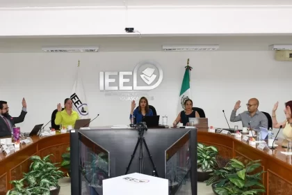 Tampoco podrán ser elegibles si cometieron delitos contra la libertad y seguridad sexuales, delitos contra el normal desarrollo psicosexual, así como de violencia familiar, violencia doméstica, violación a la intimidad sexual, violencia política contra las mujeres en razón de género y por ser declarada como persona deudora alimentaria morosa.