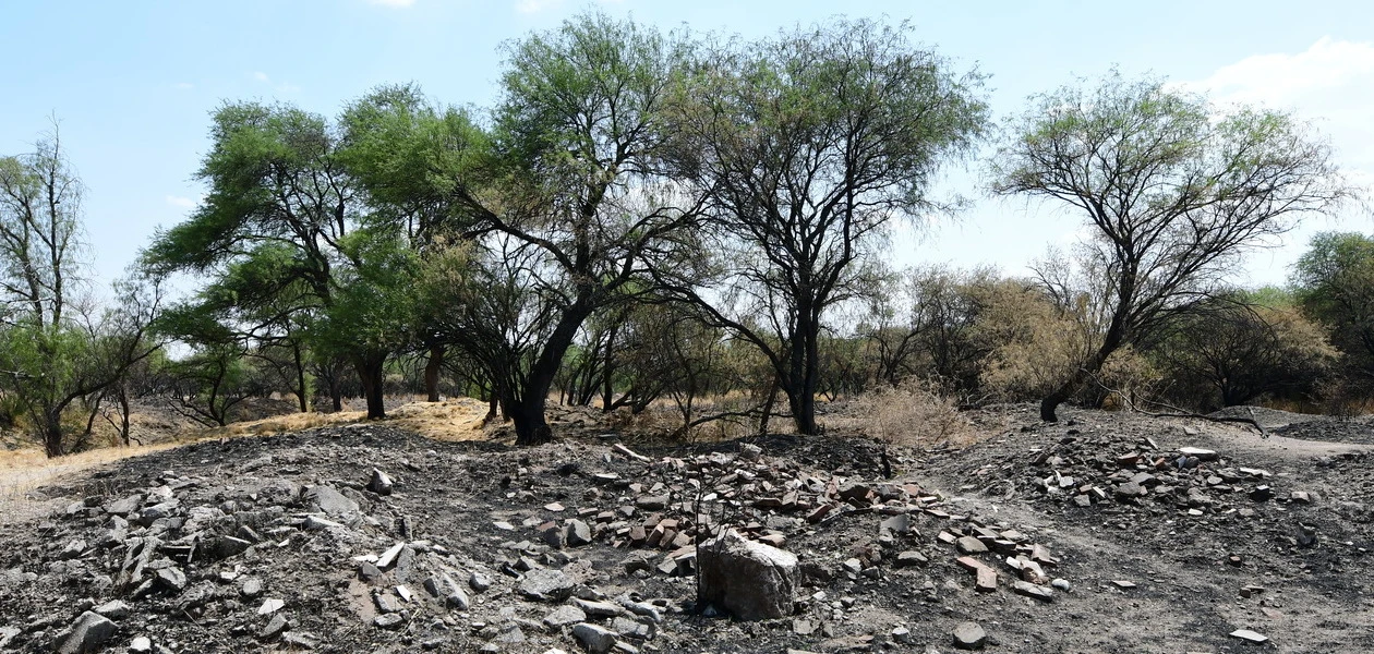 Se realizaron actividades como rehabilitación de brechas cortafuego, papeleo, desmalezado, poda de altura y limpieza general