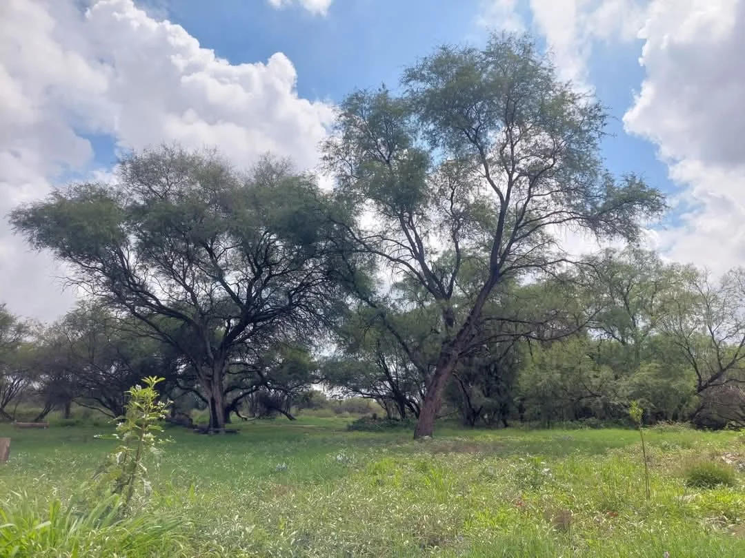 La ambientalista Gina Ventura asegura que areas protegidas no estan tan protegidas