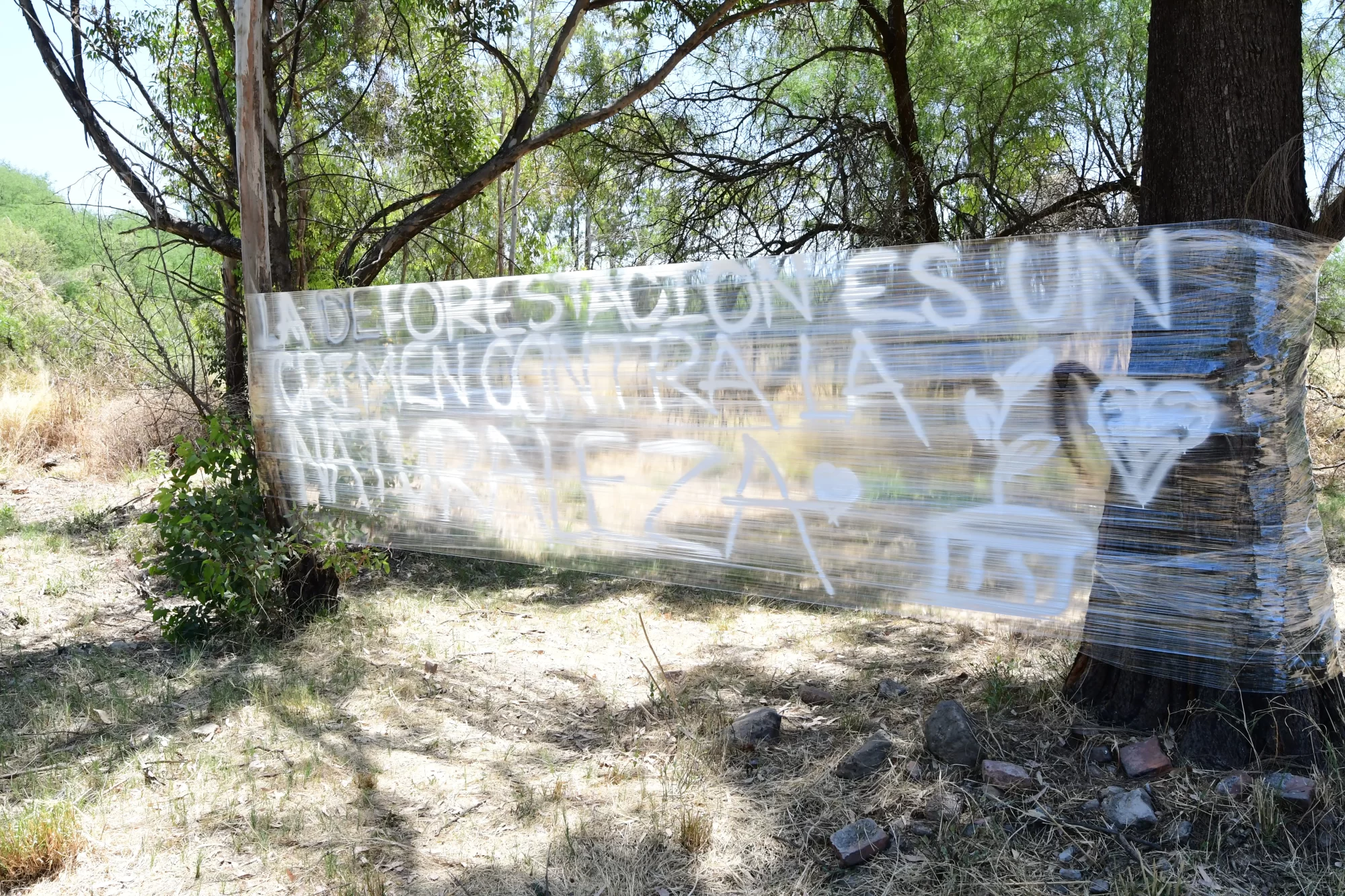 La mezquitera permenece bajo resguardo de los activistas ambientales desde hace varios dias