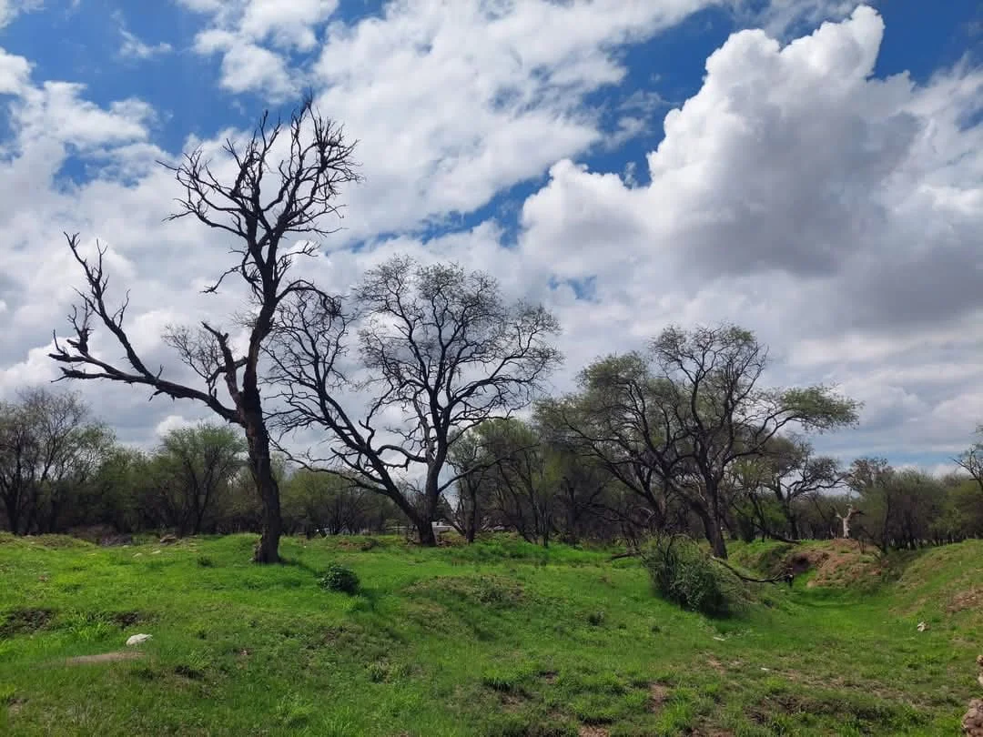 Las areas naturales del estado deben ser protegidas