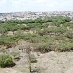 Derivado de diálogo con el Municipio y Gobierno del Estado