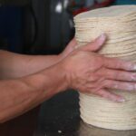 En México la producción de maíz blanco hasta hace unos años era autosuficiente