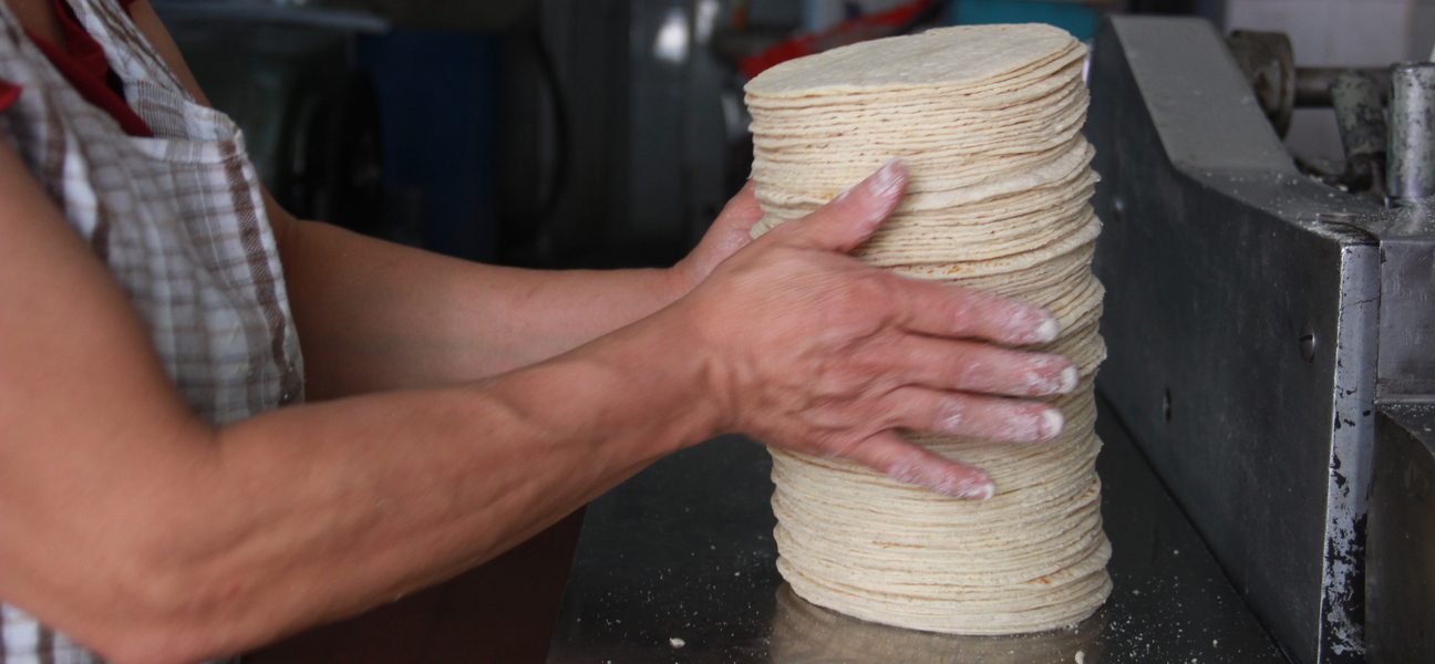 En México la producción de maíz blanco hasta hace unos años era autosuficiente