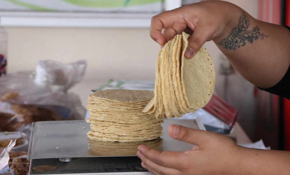 Tortillas 1
