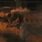 Más de 700 animales trasladados a Mazatlán.