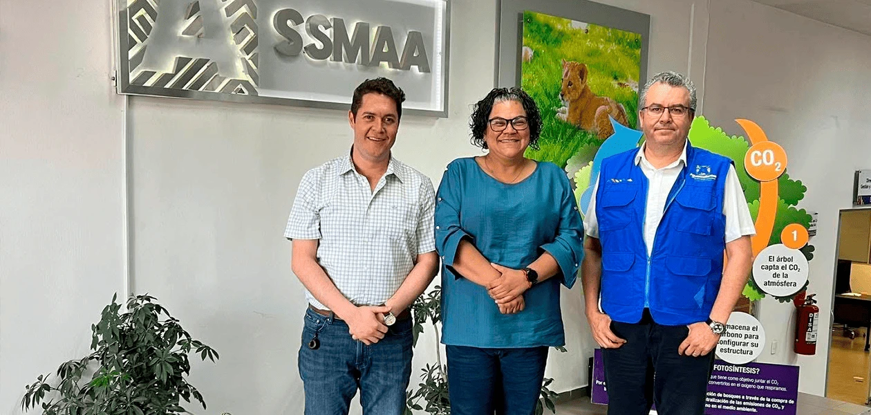 Viene una verificación más dinámica y completa