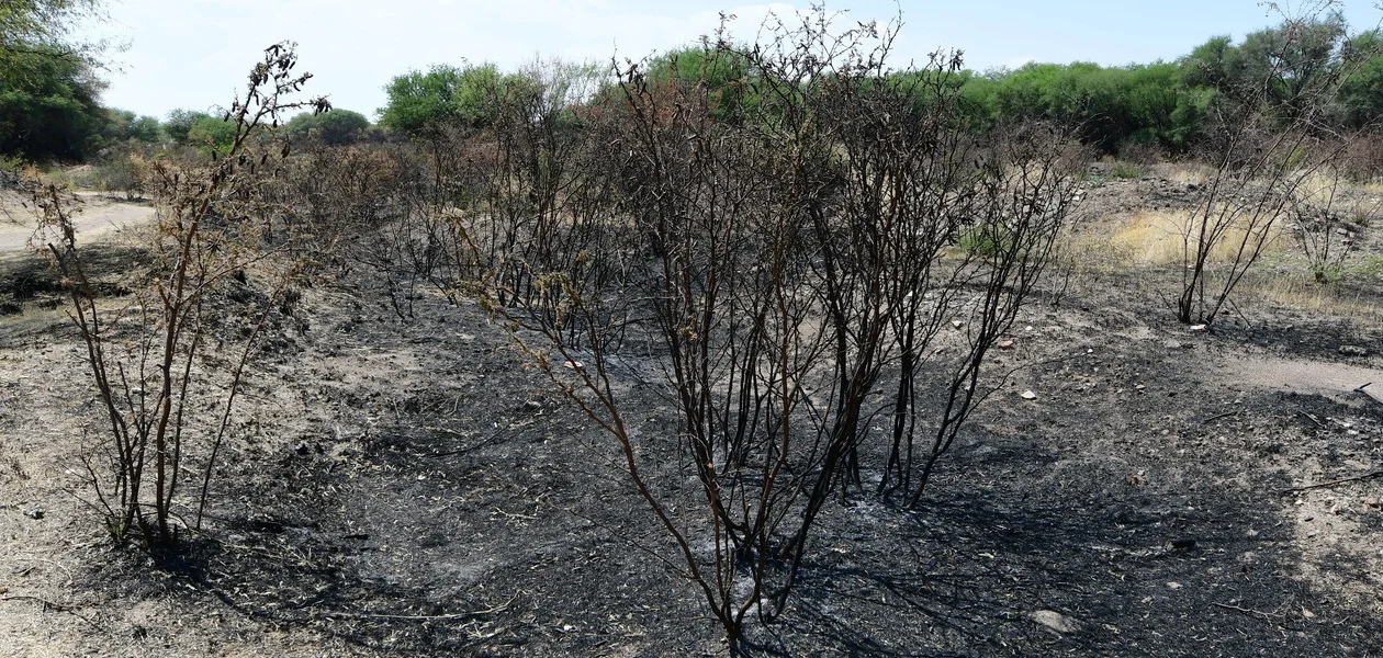 Denunciará Profepa ante la FGR si detecta “mano negra” en el incendio de La Pona