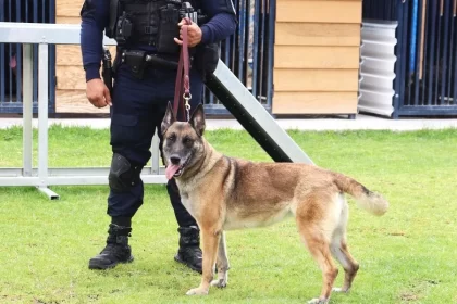 Recorrido de un grupo de diplomáticos que fue testigo de una demostración de entrenamiento por parte de los binomios caninos de la SSPE.