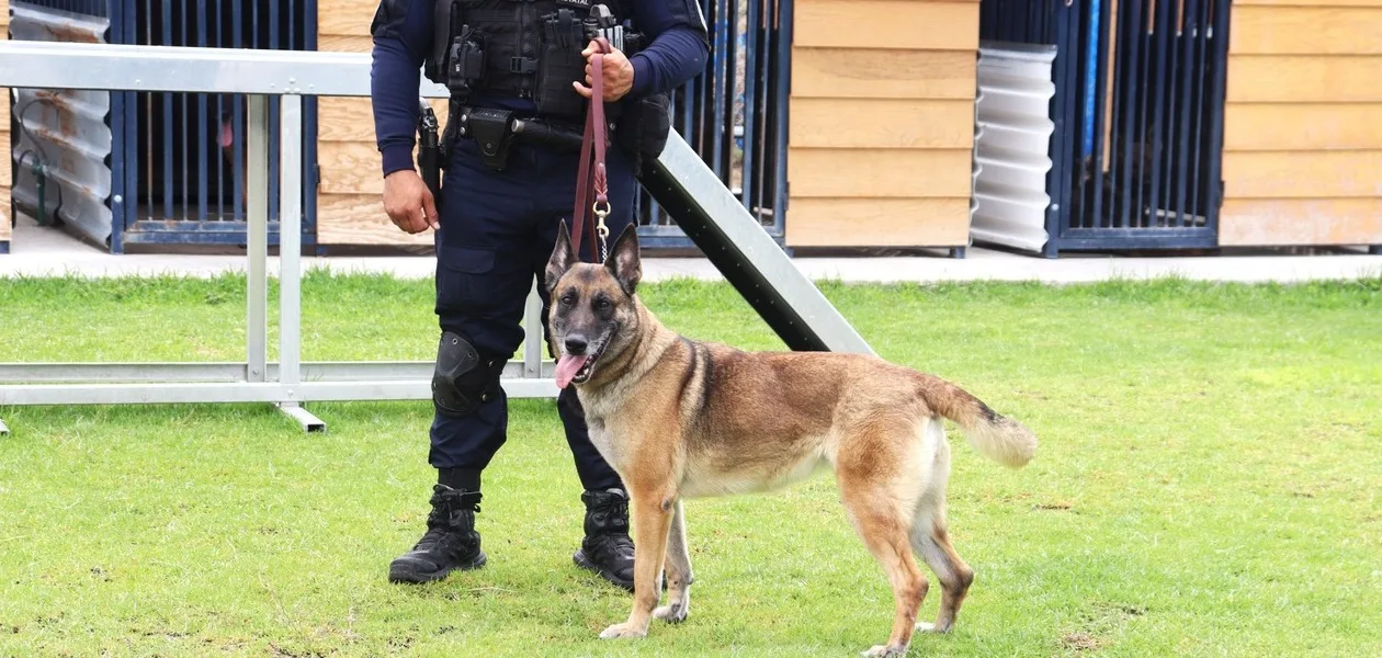 Recorrido de un grupo de diplomáticos que fue testigo de una demostración de entrenamiento por parte de los binomios caninos de la SSPE.