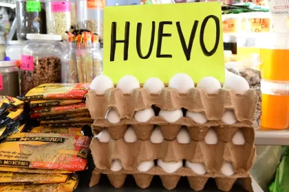 Lluvias permiten disminuir la mortalidad e incrementar la producción