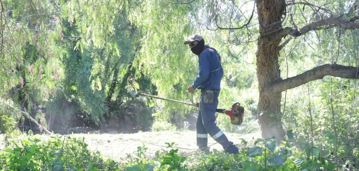 IMPLEMENTA MUNICIPIO MEGAOPERATIVO DE LIMPIEZA PARA MEJORAR EL ENTORNO DEL RIO SAN PEDRO 5
