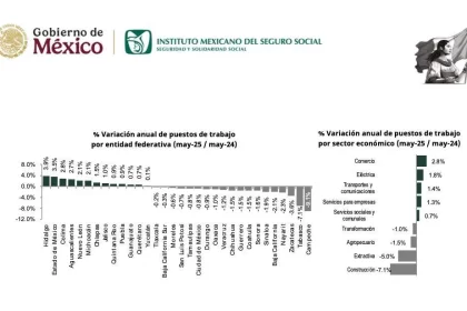 13 estados perdieron puestos de trabajo y el país perdió más de 45 mil plazas.