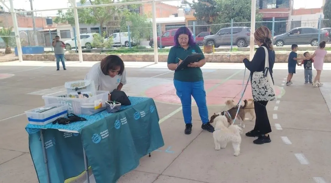 LA CLINICA VETERINARIA MOVIL BRINDARA SERVICIO EN LAS COMUNIDADES RURALES 2