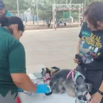 Durante junio se brindarán servicios veterinarios gratuitos en diferentes puntos de la Delegación Cañada Honda