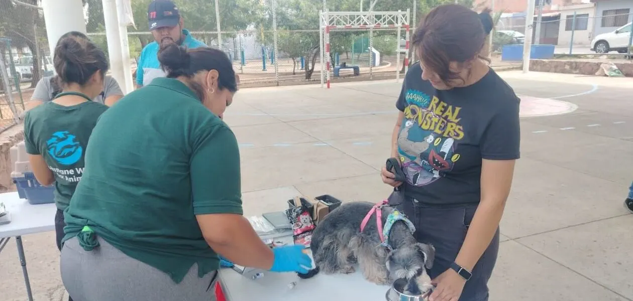 Durante junio se brindarán servicios veterinarios gratuitos en diferentes puntos de la Delegación Cañada Honda
