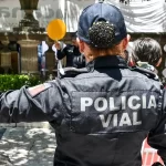 Curso de verano “Destellín y sus amigos”