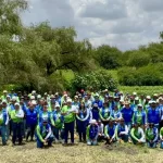 Se realizaron diversas actividades, como podas de altura, desmalezado de árboles, recolección, retiro de maleza y residuos sólidos urbanos
