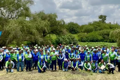 Se realizaron diversas actividades, como podas de altura, desmalezado de árboles, recolección, retiro de maleza y residuos sólidos urbanos