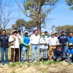Además de la plantación de árboles, se realizaron podas de formación de los árboles nativos de esta zona