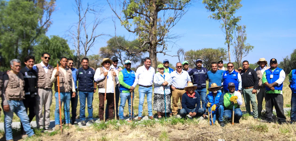 Además de la plantación de árboles, se realizaron podas de formación de los árboles nativos de esta zona